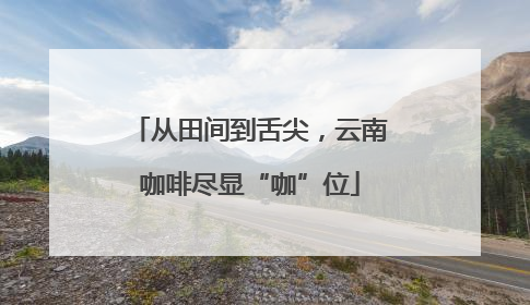 从田间到舌尖，云南咖啡尽显“咖”位