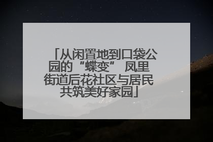 从闲置地到口袋公园的“蝶变” 凤里街道后花社区与居民共筑美好家园