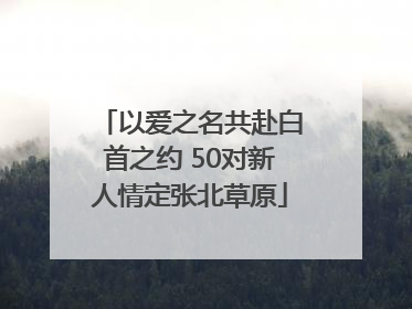 以爱之名共赴白首之约 50对新人情定张北草原