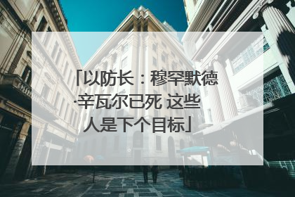 以防长：穆罕默德·辛瓦尔已死 这些人是下个目标