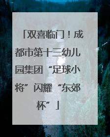 双喜临门！成都市第十三幼儿园集团“足球小将”闪耀“东郊杯”