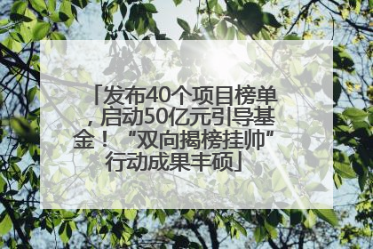 发布40个项目榜单，启动50亿元引导基金！“双向揭榜挂帅”行动成果丰硕