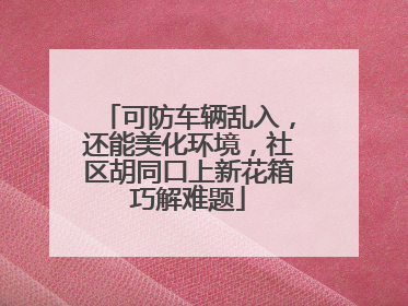 可防车辆乱入，还能美化环境，社区胡同口上新花箱巧解难题
