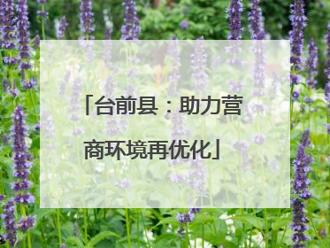 台前县：助力营商环境再优化