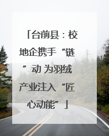 台前县：校地企携手“链”动 为羽绒产业注入“匠心动能”