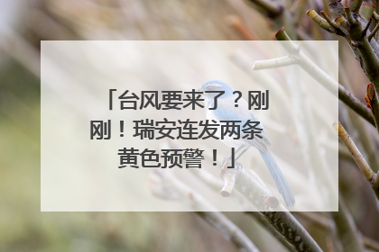 台风要来了？刚刚！瑞安连发两条黄色预警！