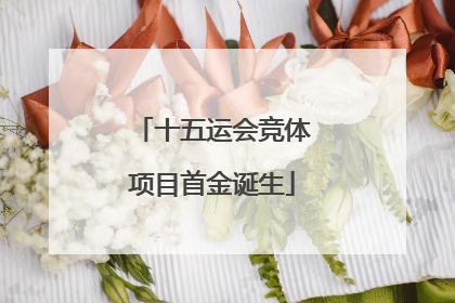 十五运会竞体项目首金诞生