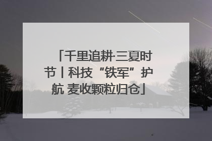 千里追耕·三夏时节丨科技“铁军”护航 麦收颗粒归仓
