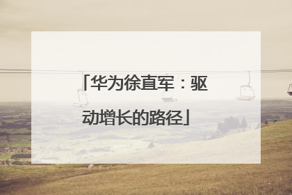 华为徐直军：驱动增长的路径
