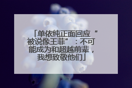 单依纯正面回应“被说像王菲”：不可能成为和超越前辈，我想致敬他们