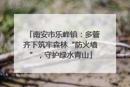 南安市乐峰镇：多管齐下筑牢森林“防火墙”，守护绿水青山