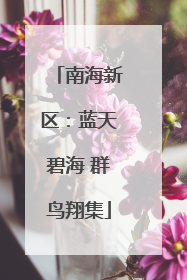 南海新区：蓝天碧海 群鸟翔集