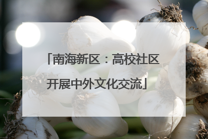 南海新区：高校社区开展中外文化交流