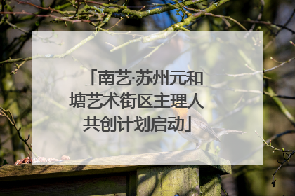 南艺·苏州元和塘艺术街区主理人共创计划启动