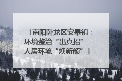 南阳卧龙区安皋镇：环境整治“出真招” 人居环境“焕新颜”