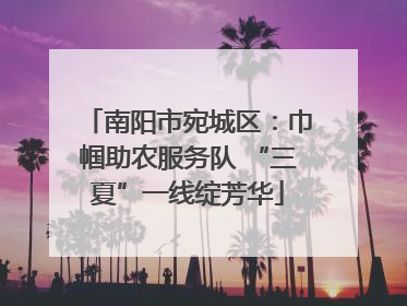 南阳市宛城区：巾帼助农服务队 “三夏”一线绽芳华