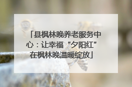 县枫林晚养老服务中心：让幸福“夕阳红”在枫林晚温暖绽放