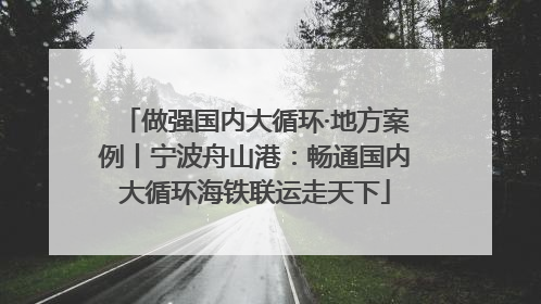 做强国内大循环·地方案例丨宁波舟山港：畅通国内大循环海铁联运走天下