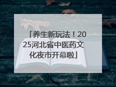 养生新玩法！2025河北省中医药文化夜市开幕啦