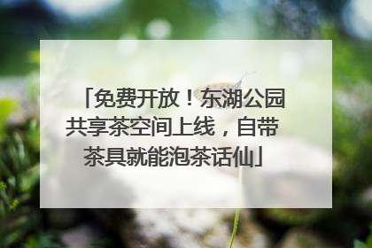 免费开放！东湖公园共享茶空间上线，自带茶具就能泡茶话仙