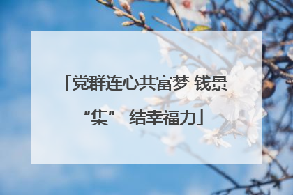 党群连心共富梦 钱景 “集” 结幸福力