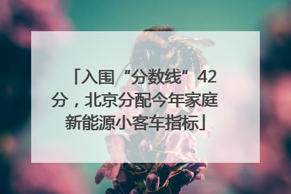 入围“分数线”42分，北京分配今年家庭新能源小客车指标