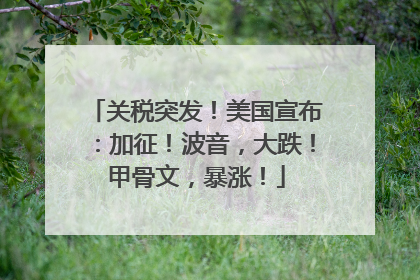 关税突发！美国宣布：加征！波音，大跌！甲骨文，暴涨！