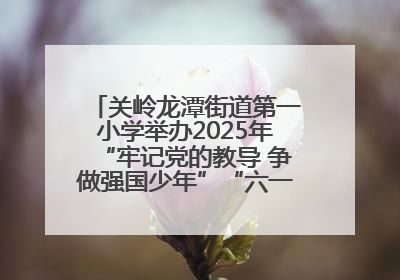 关岭龙潭街道第一小学举办2025年“牢记党的教导 争做强国少年”“六一”文艺汇演活动
