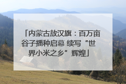 内蒙古敖汉旗：百万亩谷子播种启幕 续写“世界小米之乡”辉煌