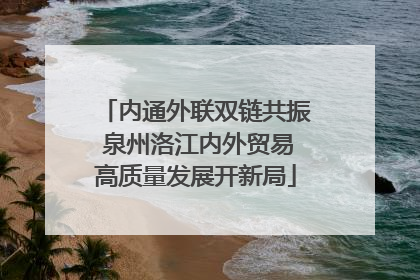内通外联双链共振 泉州洛江内外贸易高质量发展开新局