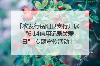农发行岳阳县支行开展“6·14信用记录关爱日” 专题宣传活动