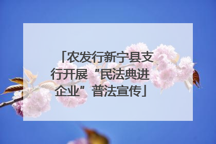 农发行新宁县支行开展“民法典进企业”普法宣传