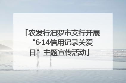 农发行汨罗市支行开展“6·14信用记录关爱日”主题宣传活动