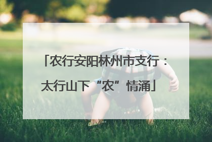 农行安阳林州市支行：太行山下“农”情涌