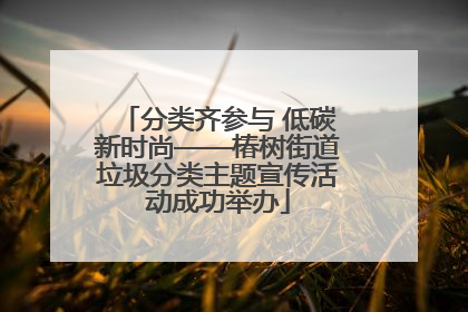 分类齐参与 低碳新时尚——椿树街道垃圾分类主题宣传活动成功举办