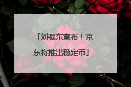 刘强东宣布！京东将推出稳定币
