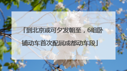 到北京或可夕发朝至，6组卧铺动车首次配属成都动车段
