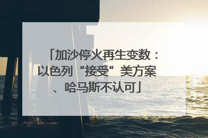 加沙停火再生变数：以色列“接受”美方案、哈马斯不认可