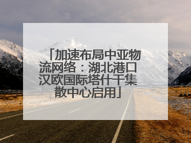 加速布局中亚物流网络：湖北港口汉欧国际塔什干集散中心启用