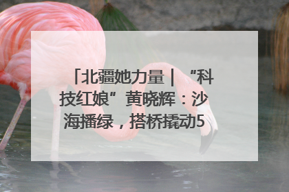 北疆她力量｜“科技红娘”黄晓辉：沙海播绿，搭桥撬动5.3亿研发