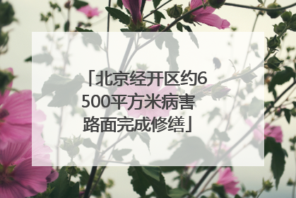 北京经开区约6500平方米病害路面完成修缮