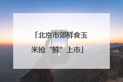 北京市郊鲜食玉米抢“鲜”上市