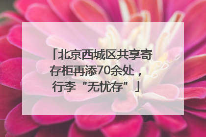 北京西城区共享寄存柜再添70余处，行李“无忧存”