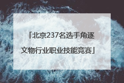 北京237名选手角逐文物行业职业技能竞赛