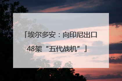 埃尔多安：向印尼出口48架“五代战机”