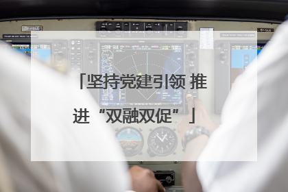 坚持党建引领 推进“双融双促”