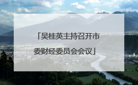 吴桂英主持召开市委财经委员会会议