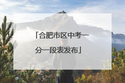 合肥市区中考一分一段表发布