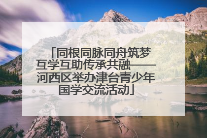 同根同脉同舟筑梦 互学互助传承共融——河西区举办津台青少年国学交流活动