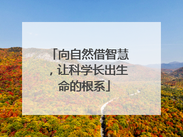 向自然借智慧，让科学长出生命的根系
